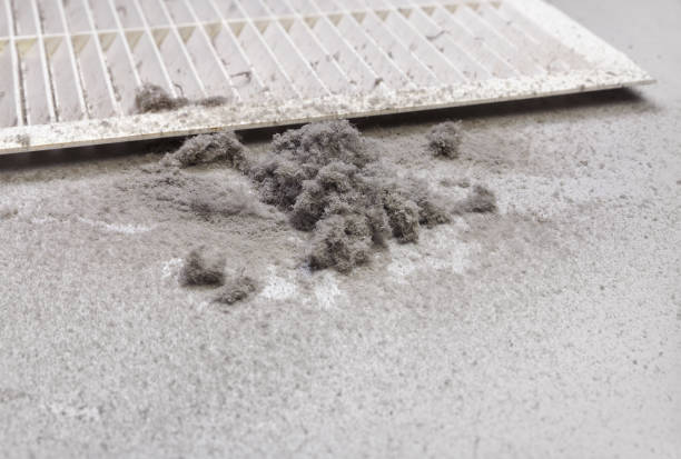 Best Professional Duct Cleaning Services  in Coral Gables, FL