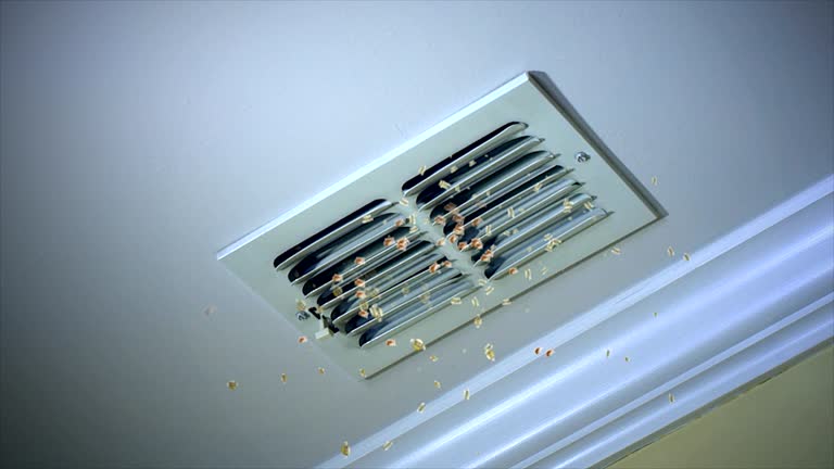 Best Affordable Duct Cleaning Services  in Coral Gables, FL