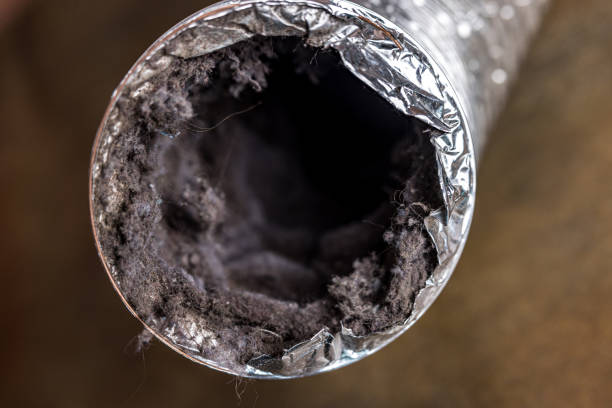 Best HVAC Duct Inspection Services  in Coral Gables, FL